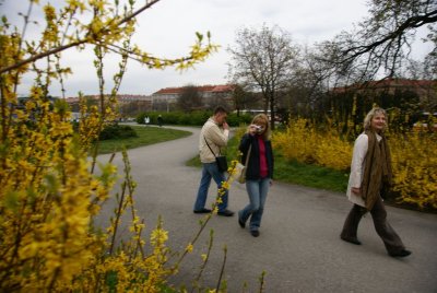 49.JPG