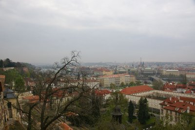 35.jpg