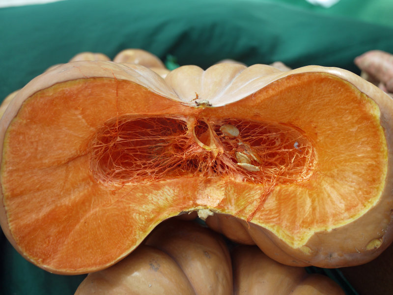 12. A Squash at the Farmers Market