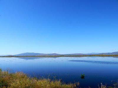 9. Lower Klamath Refuge Reflections