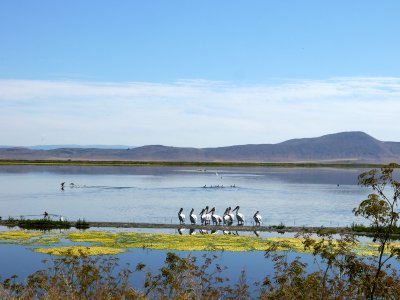 10. Tulelake Refuge Reflections