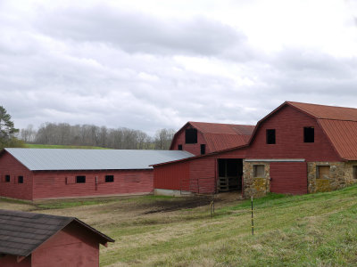 21. Dairy in Georgia