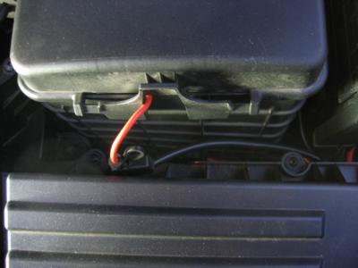 Positive Wire and Fuse.jpg