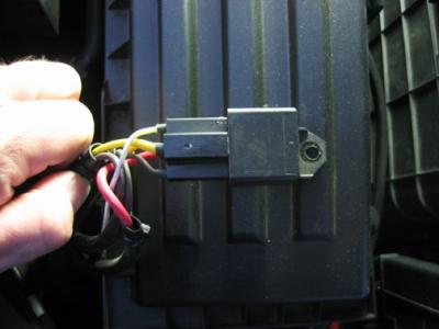 Top View Relay and Harness Leads.jpg
