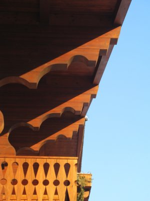 IMG_1619.jpg