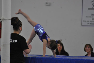DSC_6518.jpg