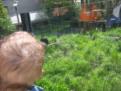 IMG_3312.gif