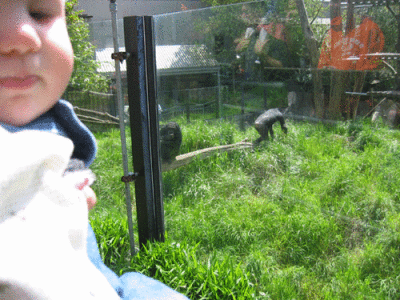 IMG_3313.gif