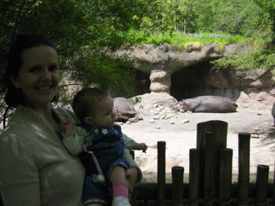 IMG_3320.gif