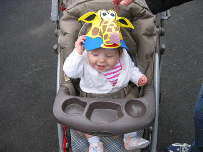 IMG_3389.gif