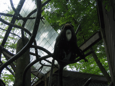 IMG_3396.gif