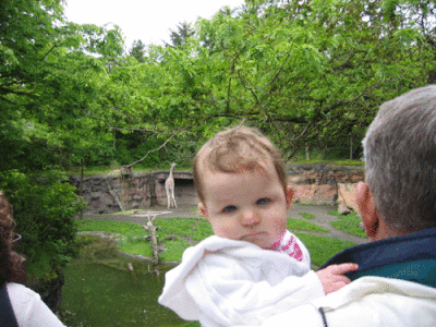 IMG_3399.gif