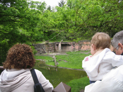 IMG_3400.gif