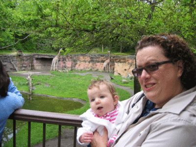 IMG_3406.gif