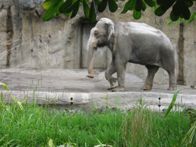 IMG_3426.gif