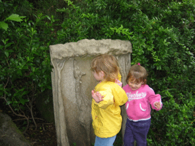 IMG_3516.gif