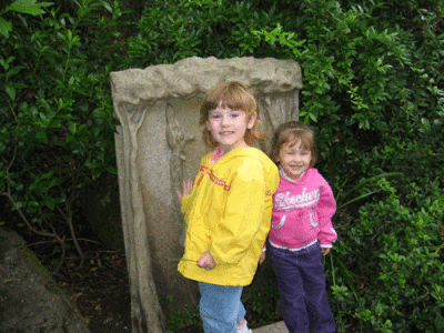 IMG_3517.gif