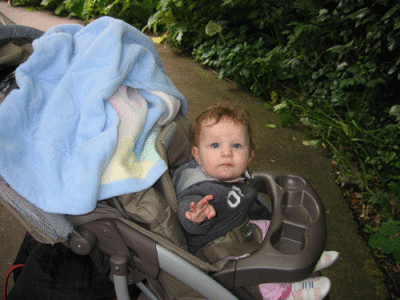 IMG_3518.gif