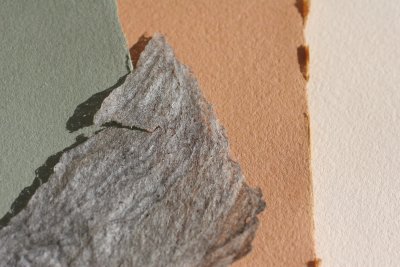 Handmade Papers with Wasp2.JPG