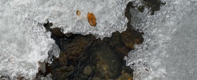 Abstract Ice with Leaf