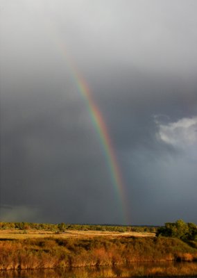 Rainbow at Cottonwood Creek.jpg