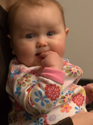 g4/55/306955/3/91152605.vzs5gFSx.jpg