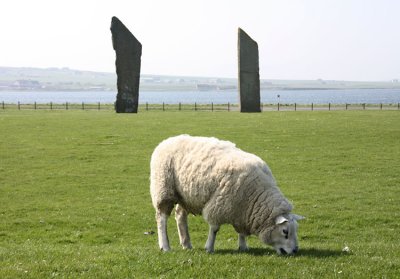 Stones of Stenness