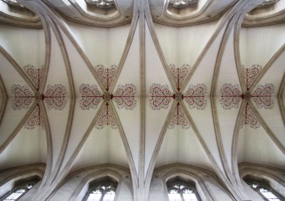 Wells Cathedral Ceiling