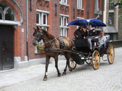 Carriage Ride, Bruges