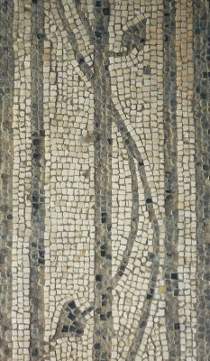Herculaneum Mosaic Floor