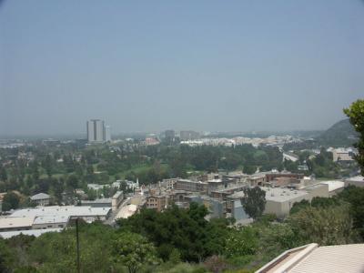 PICT7989.JPG