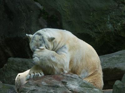 PICT8419.jpg