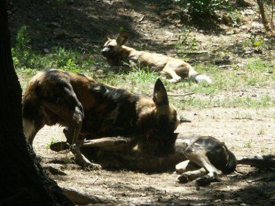 PICT8698.JPG