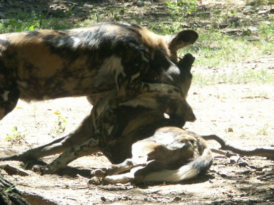 PICT8677.JPG