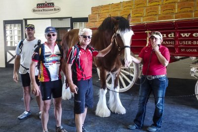 Come on boys! We've been closed for an hour! Stop petting the horse, finish your beers, and leave!