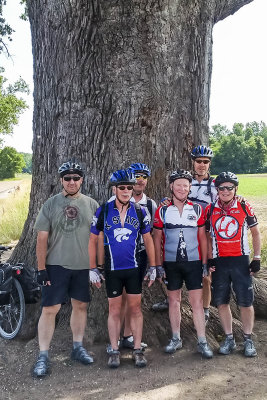 Biggest Burr Oak in MO (350 years old)