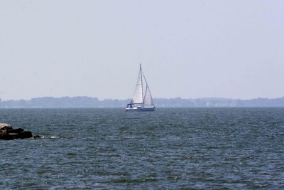 _MG_5406.jpg