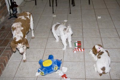 _MG_0620.jpg