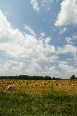 _MG_0327.jpg