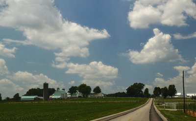 _MG_0336.jpg