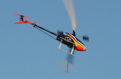 _MG_4015.jpg