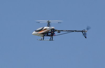 IMG_5264.jpg
