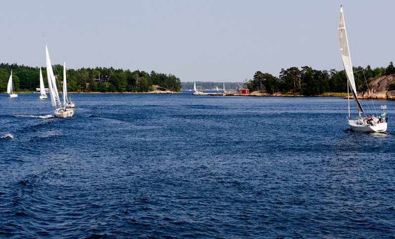 _DSC8977.jpg
