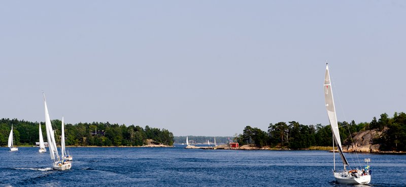 _DSC8977_1.jpg