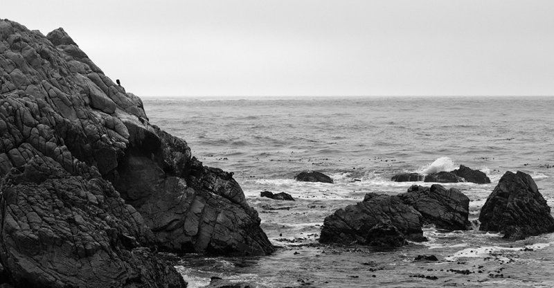 _DSC0542.jpg