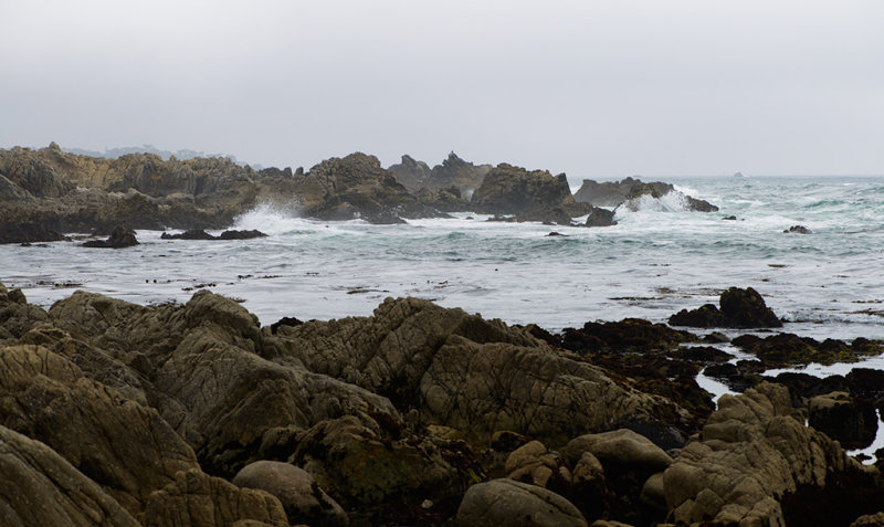 _DSC0571.jpg