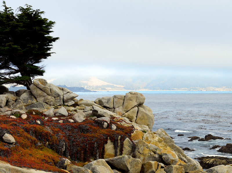 _DSC0750.jpg