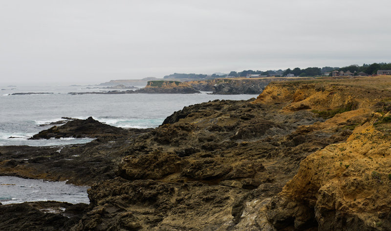 _DSC1460.jpg