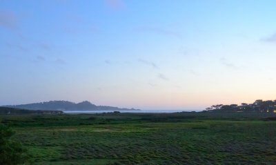 _DSC0385.jpg