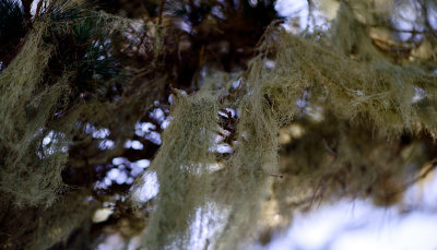 _DSC0467.jpg